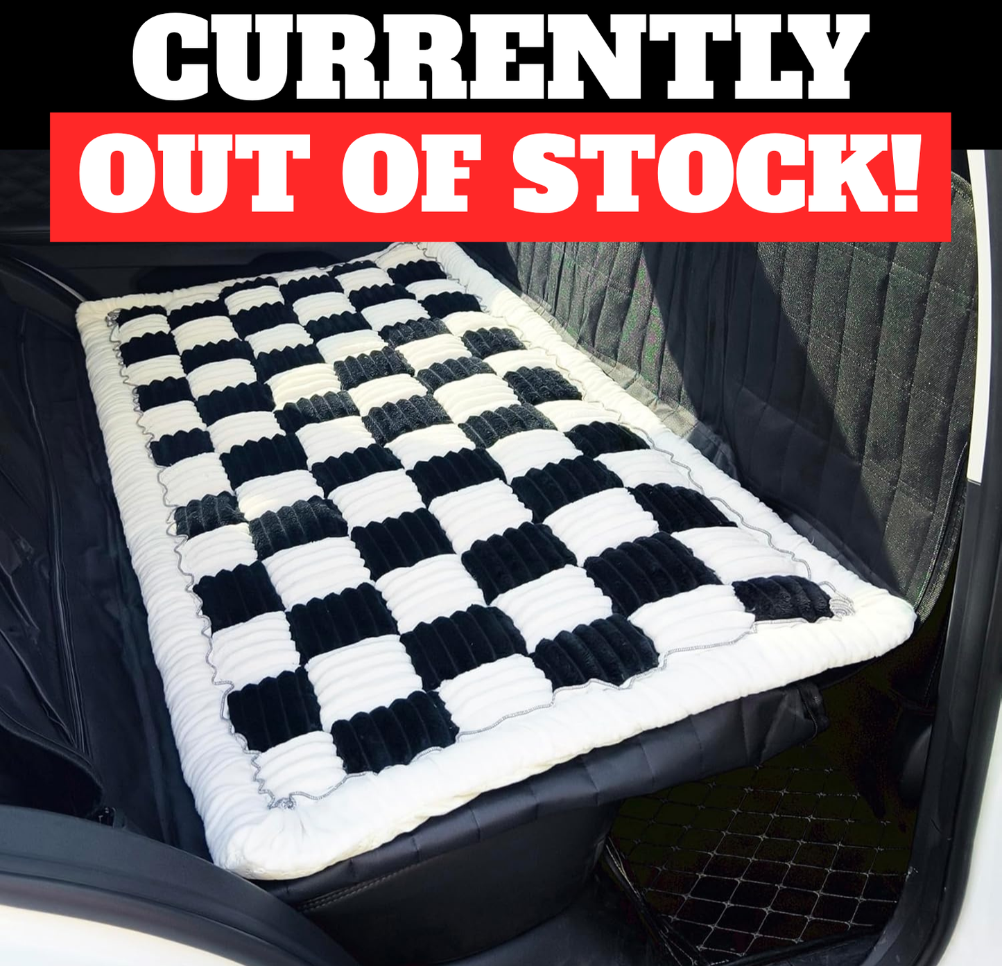 Aurapaws™ - Comfy Cushion